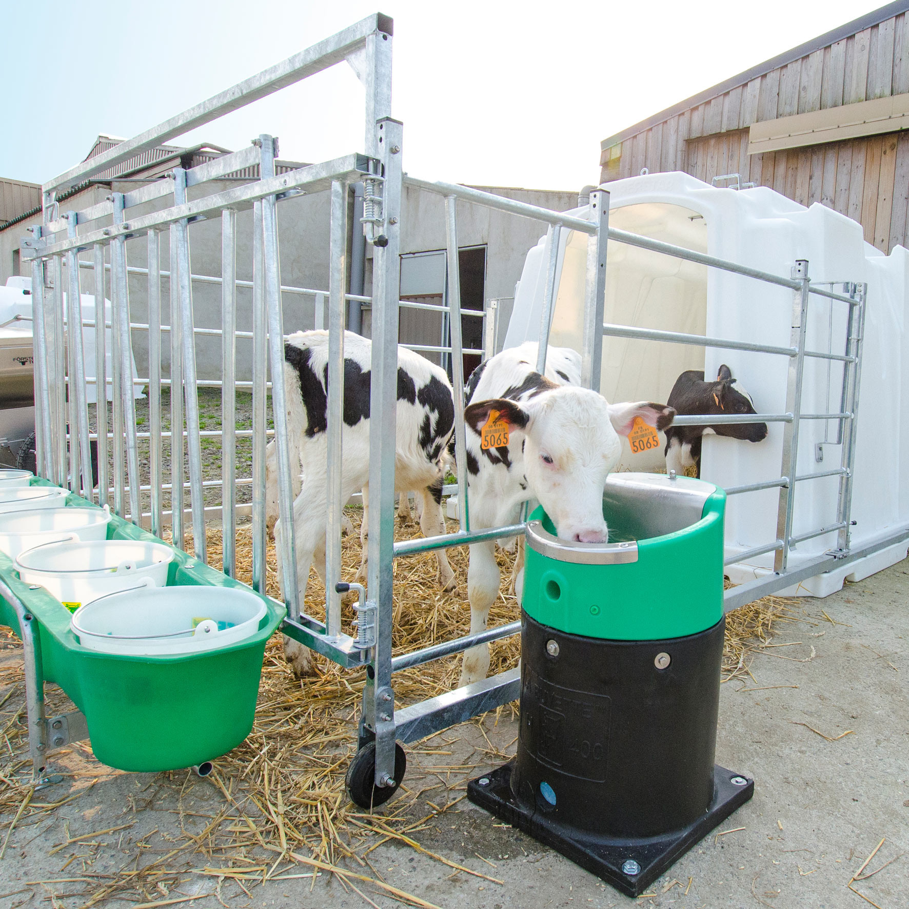 SUPERSTAR One-Piece HDPE Hutch For 5 Calves